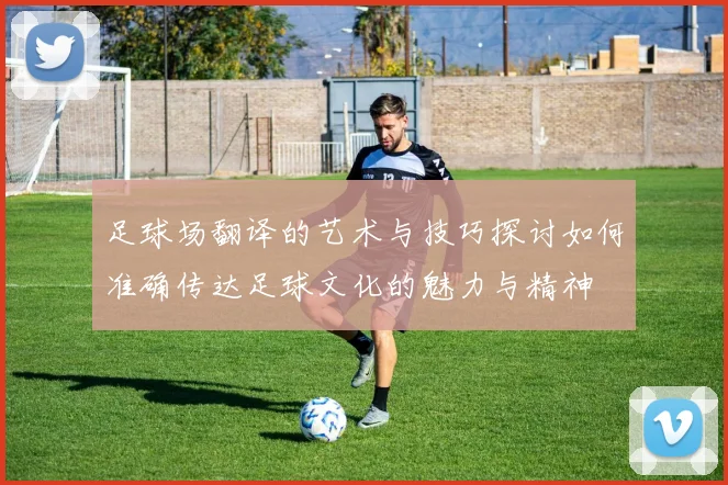足球场翻译的艺术与技巧探讨如何准确传达足球文化的魅力与精神