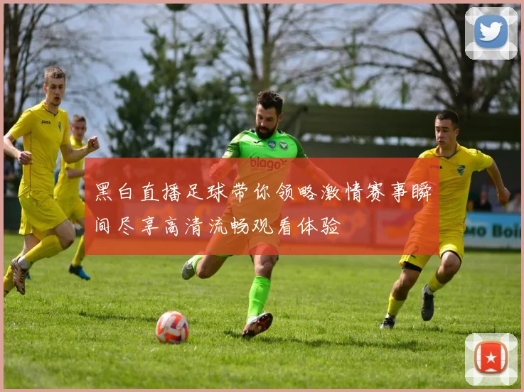 黑白直播足球带你领略激情赛事瞬间尽享高清流畅观看体验