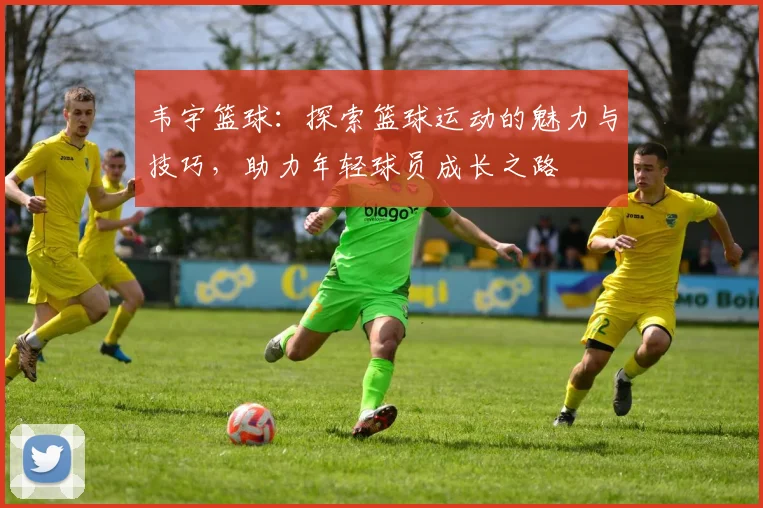 韦宇篮球：探索篮球运动的魅力与技巧，助力年轻球员成长之路